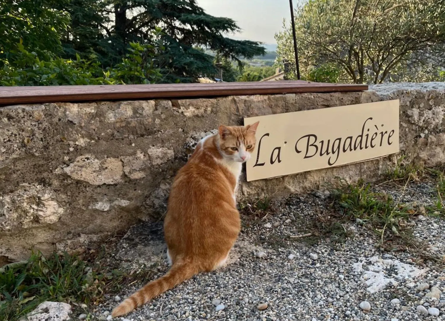 La Bugadiere Guest House Salles-sous-Bois
